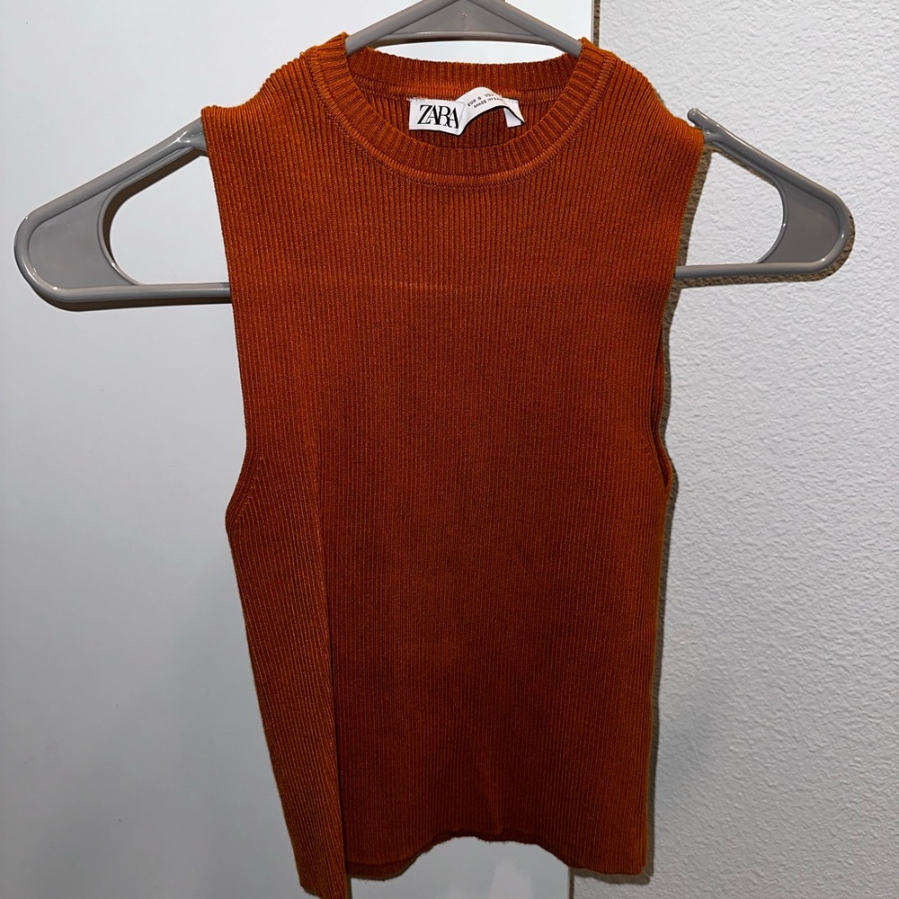 Zara earth-tone sleeveless turtle neck